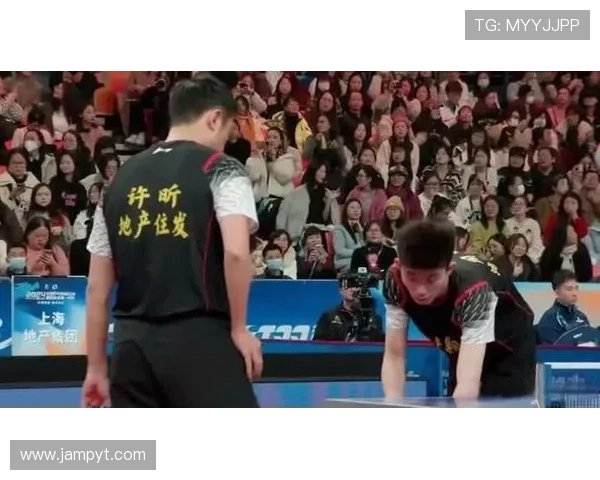 中国体育赛场再迎高光时刻新星崛起老将坚守引发热议全国球迷关注